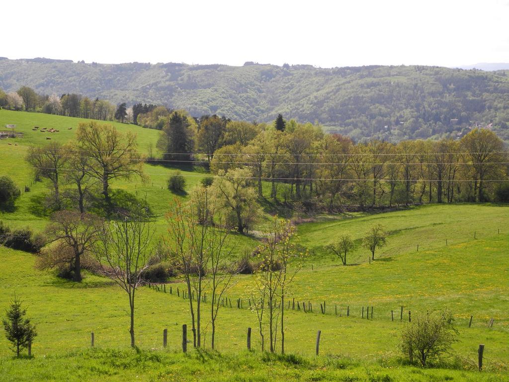 Le Plateau De La Danse Bed & Breakfast Saint-Victor-sur-Loire Eksteriør bilde
